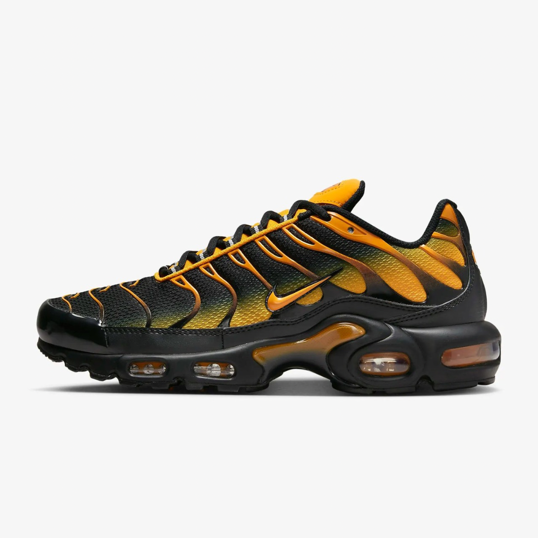 tns max plus