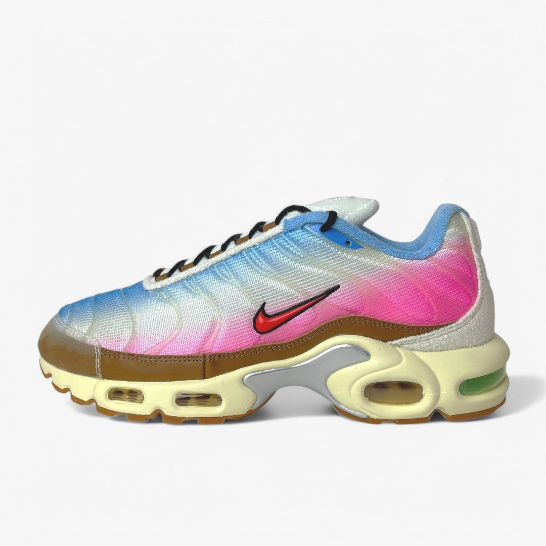 rainbow nike tn
