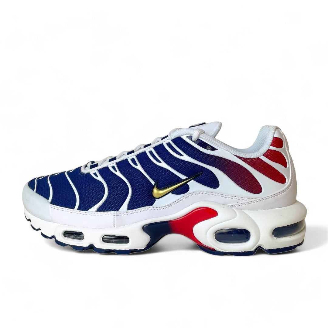 NIKE AIR MAX PLUS TN x PSG Tn Town