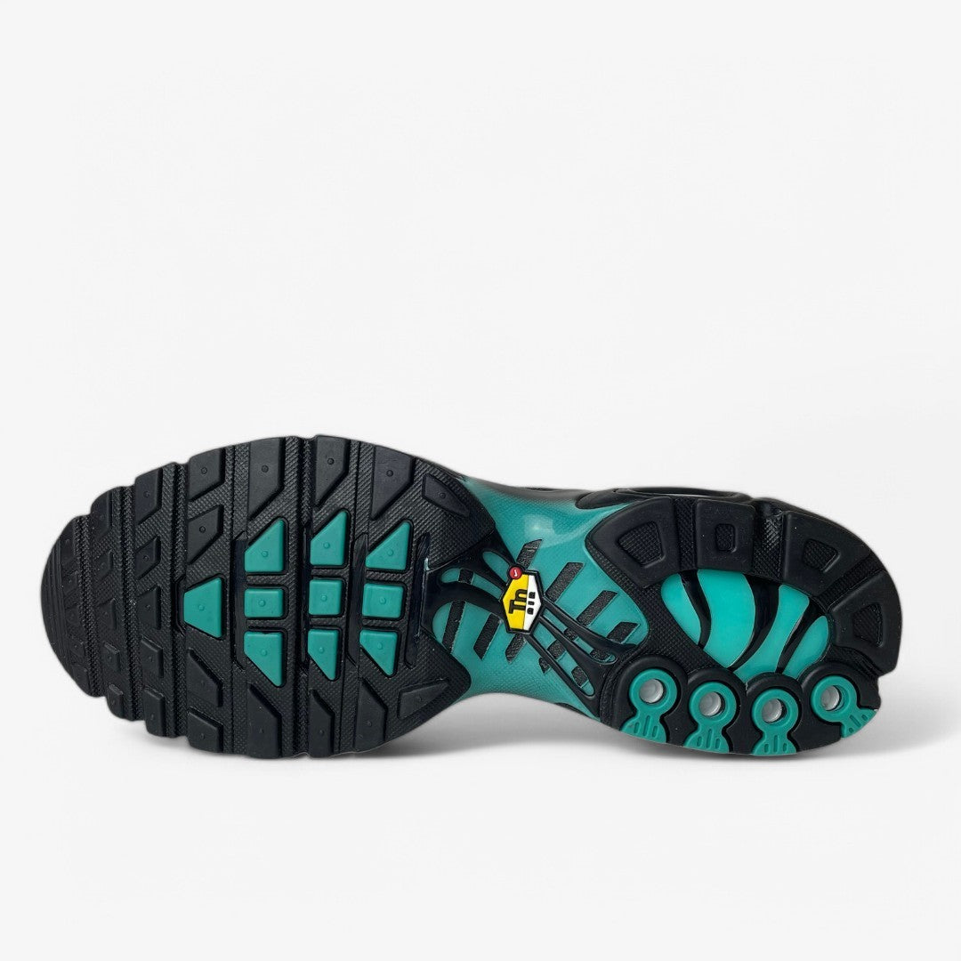 Nike Tns Black And Aqua Nike Shoes W NIKE AIR MAX DN 